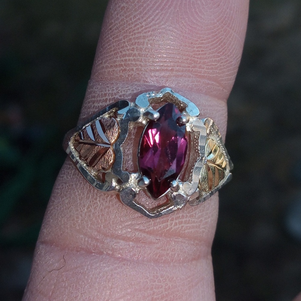 ❤️ SS & 12k gold Garnet Black Hills Gold Ring❤️